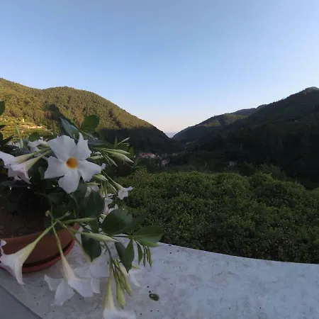Bed & Breakfast Bouganville